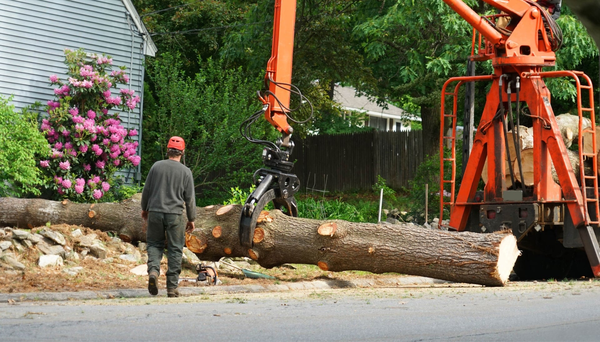 Local partner for Tree removal services in Glastonbury
